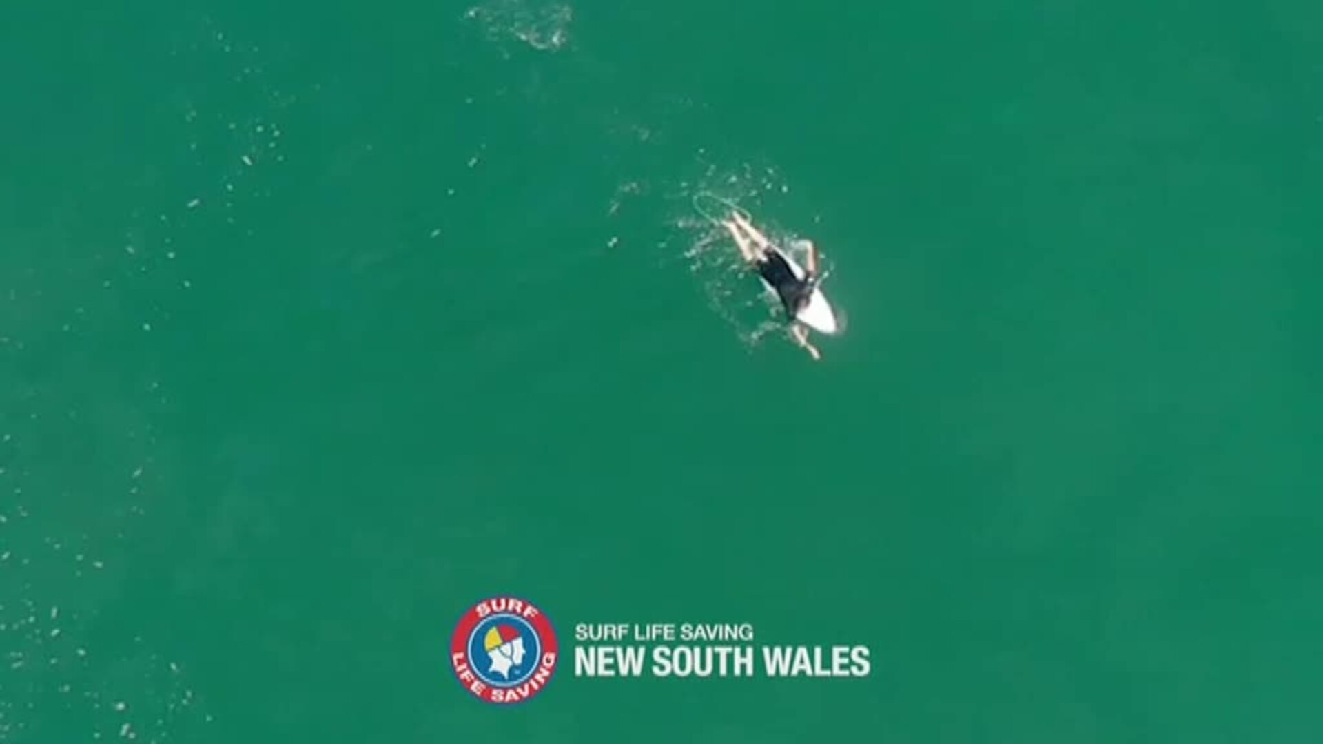 Escalofriante imagen de cómo un tiburón se acerca hasta un surfista en Australia