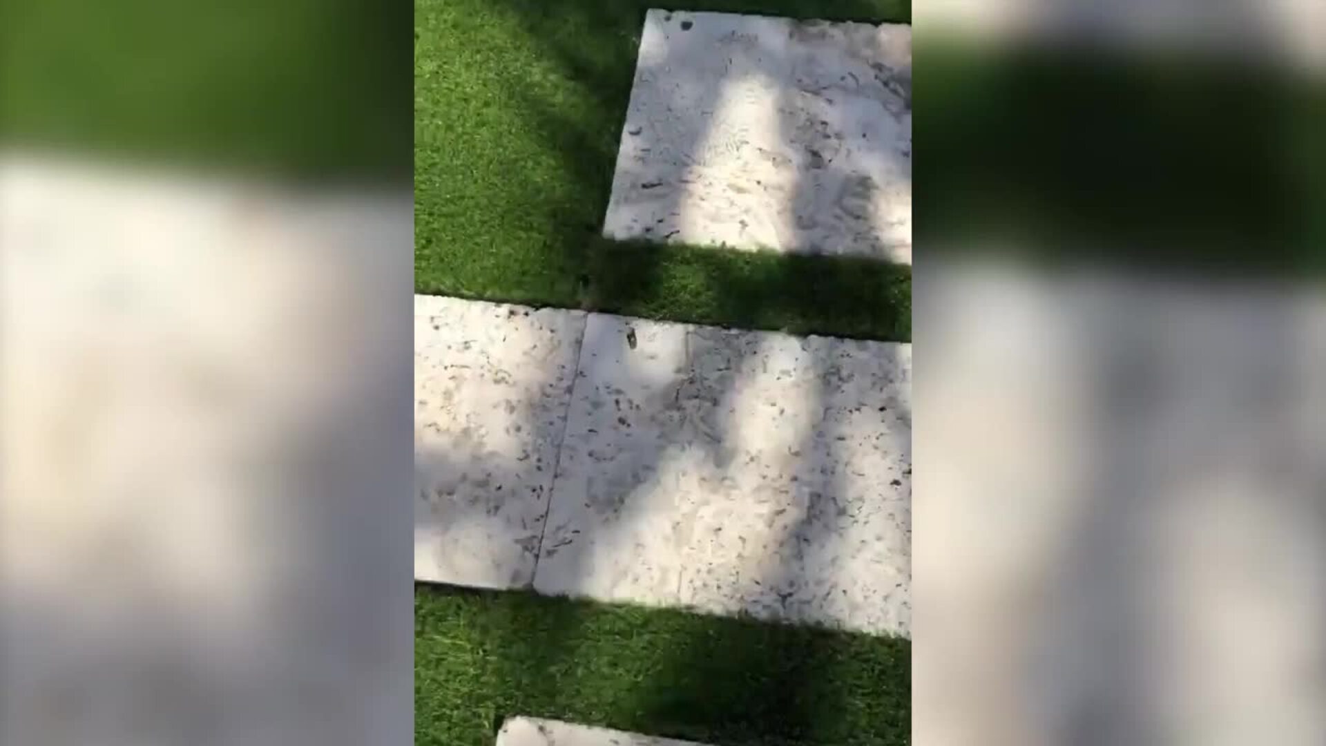 Kylie Jenner nos regala el posado del verano