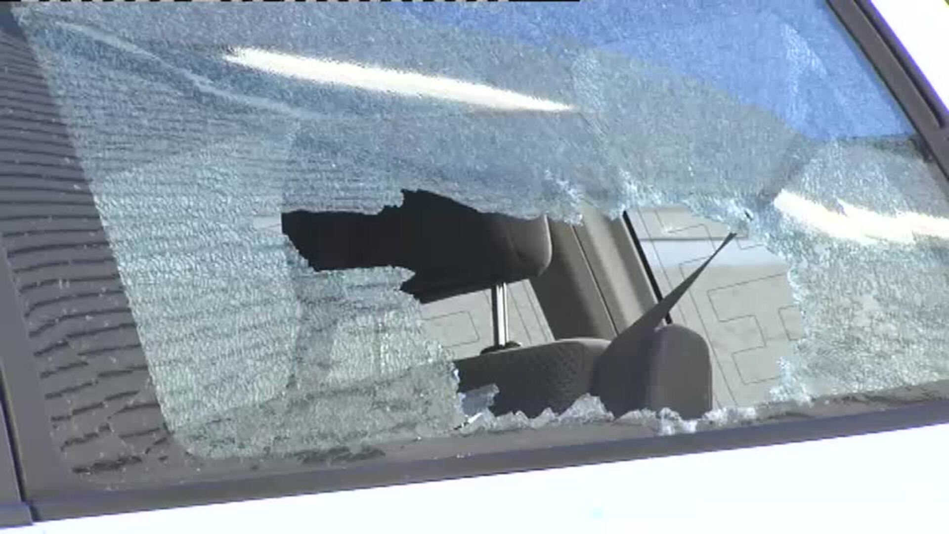 El joven detenido en Leioa compró y legalizó el arma el mismo día del tiroteo