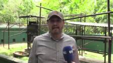 Viceministro de Ambiente destaca el "esfuerzo titánico" para cerrar zoológicos estatales en Costa Rica