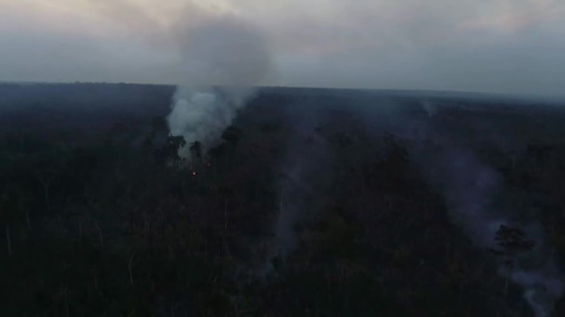 El Amazonas ha sufrido 6000 incendios en lo que llevamos de agosto
