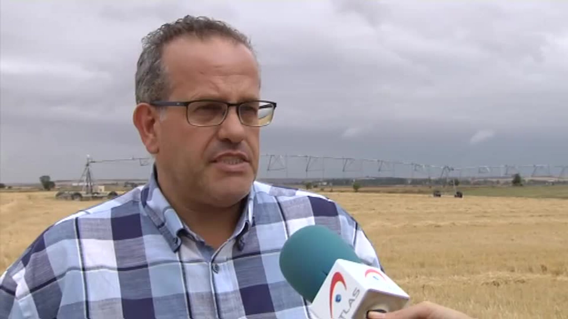 Una plaga de topillos pone en jaque a los agricultores en Tierra de Campos