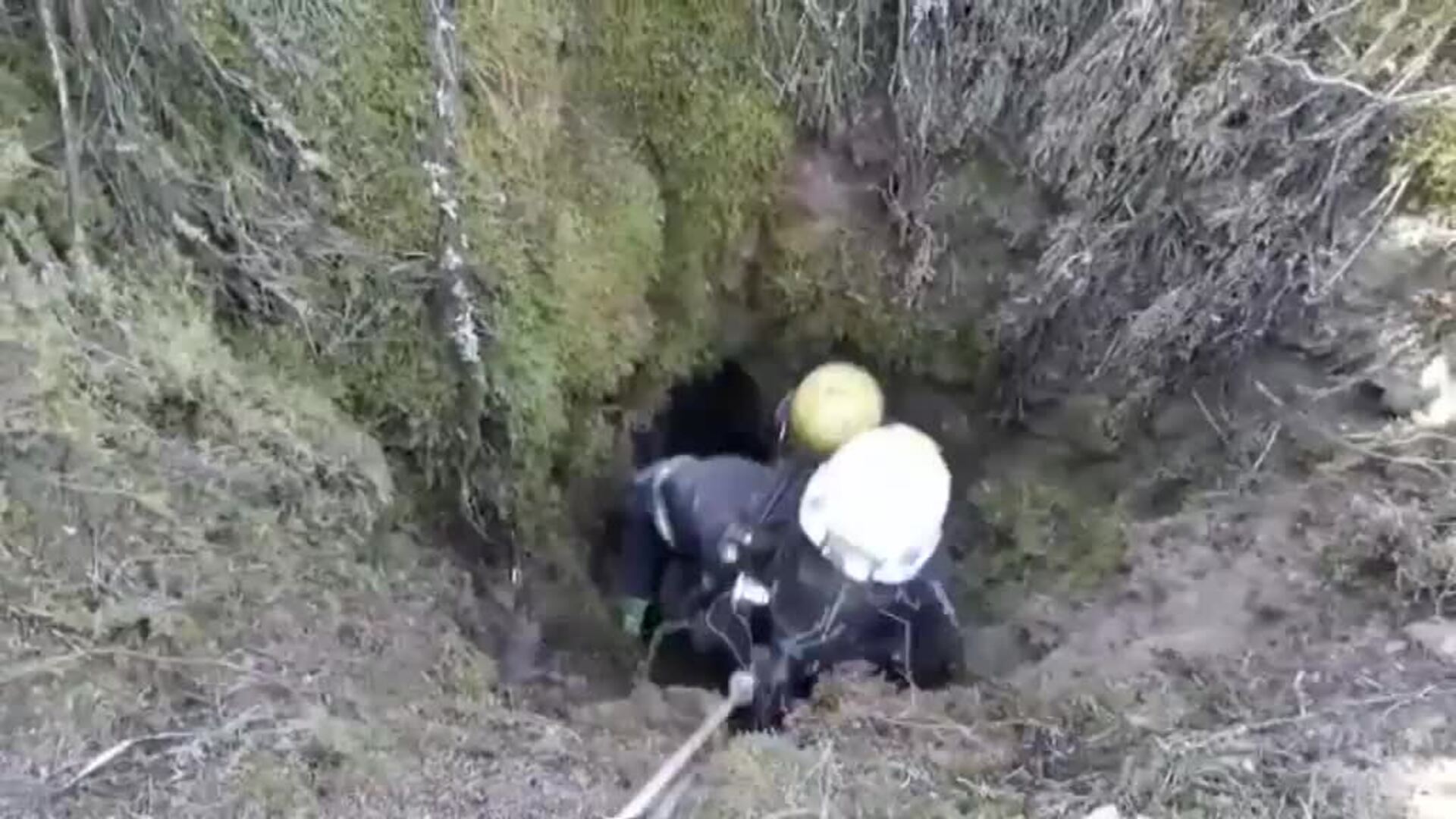 El increíble rescate de los bomberos a dos perros atrapados en un pozo