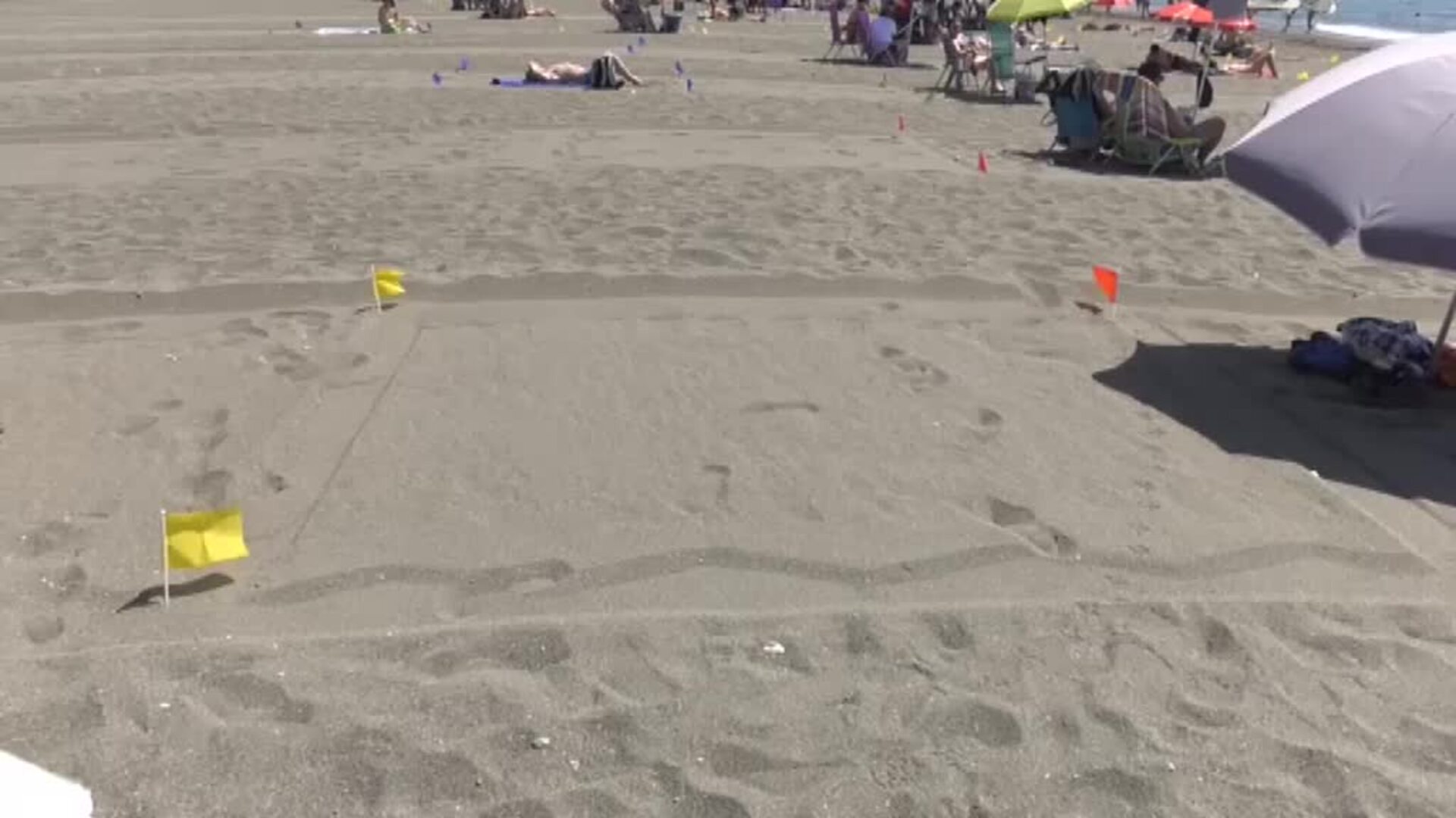 La playa malagueña de Torre del Mar se parcela para garantizar la distancia entre los usuarios