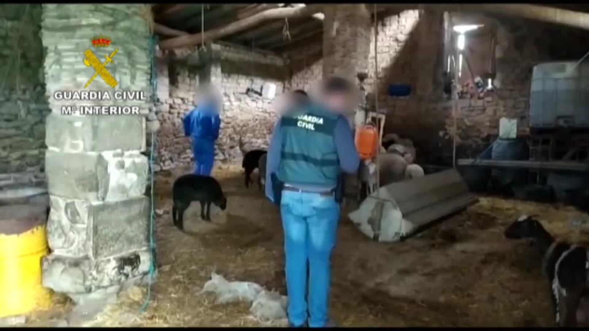 Localizadas 67 cabezas de ganado ovino robado en La Rioja y en Álava