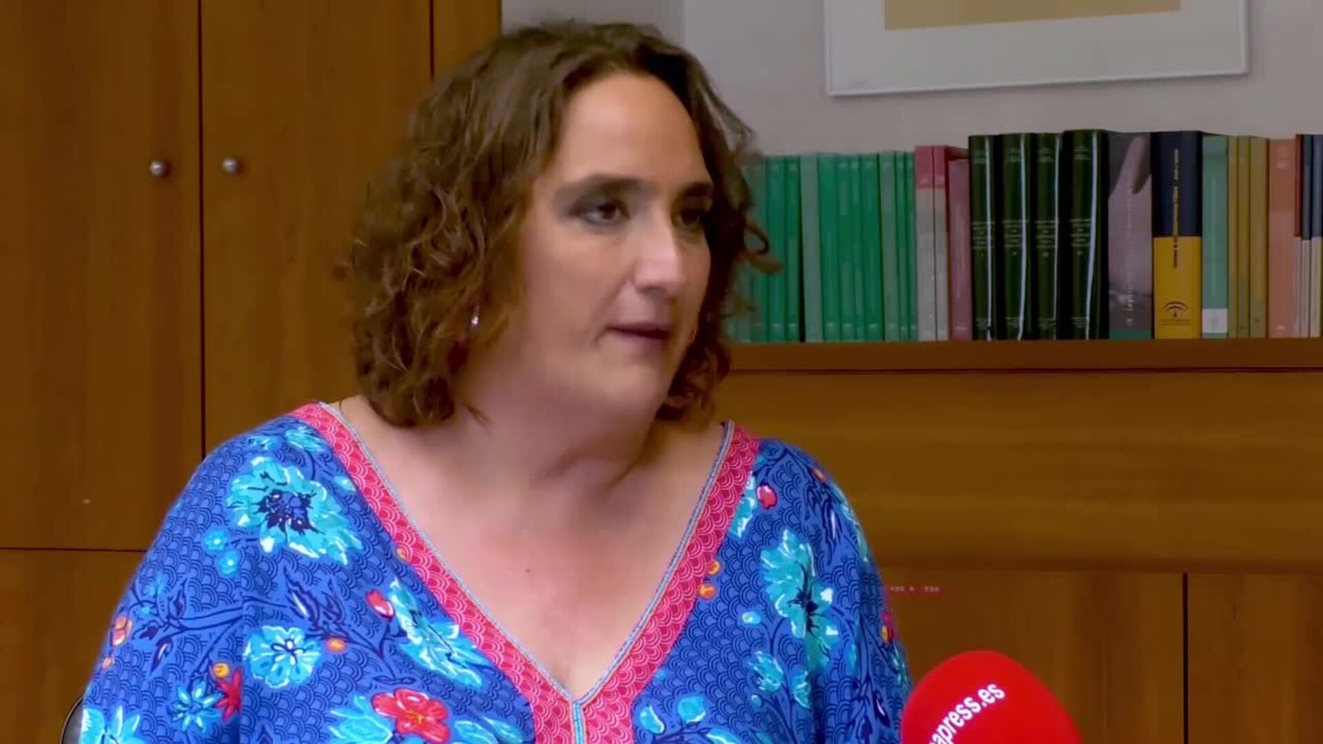 Adelante Andalucía cree que Moreno &quot;no ha asimilado&quot; ser presidente