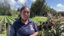 Iniciativa de turismo agroecológico impulsa el liderazgo de mujeres rurales en el suroeste colombiano