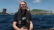 Sophie Cooke: Las torres Darwin "un sitio muy importante para la biodiversidad"