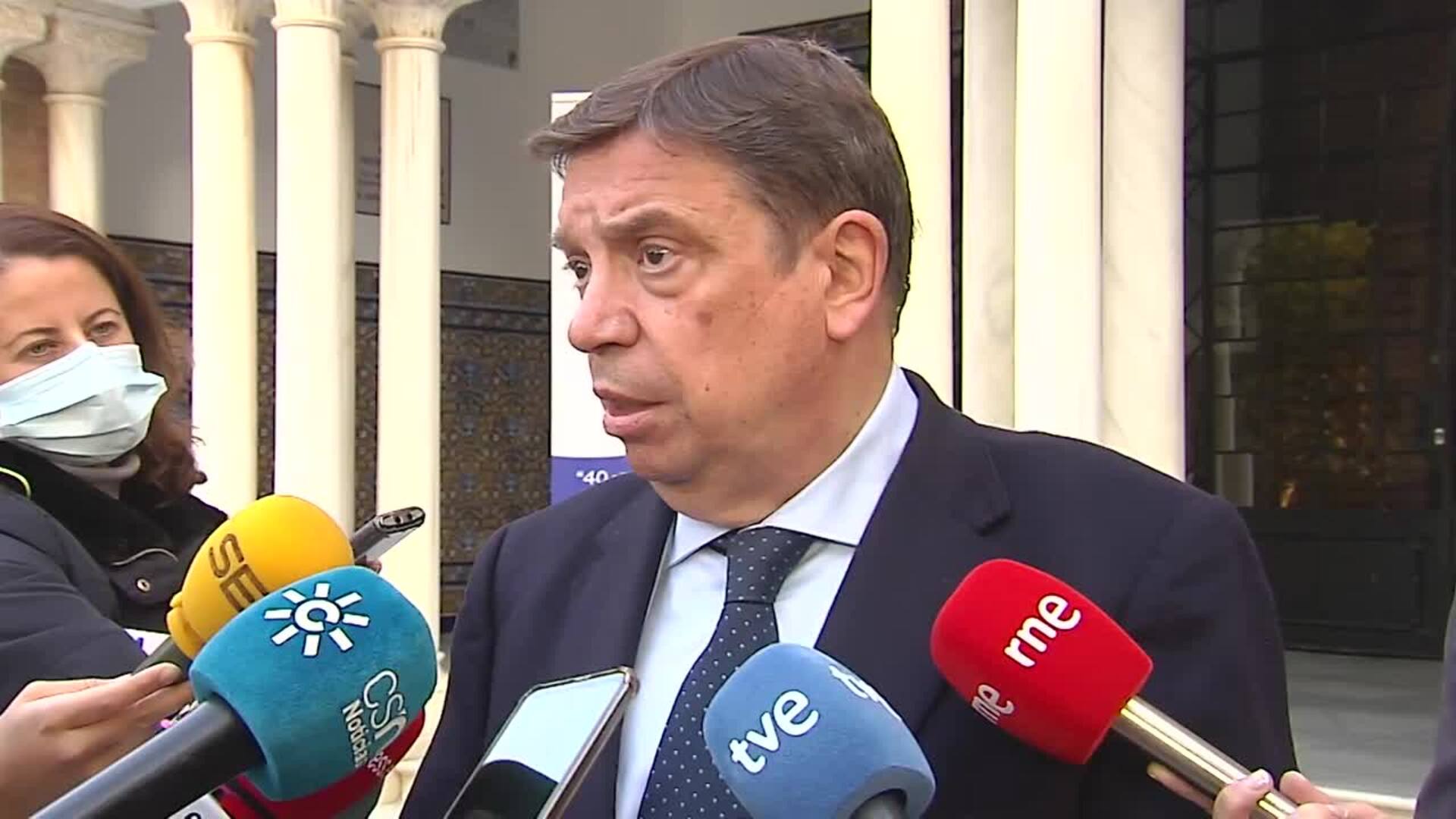 Planas apunta que ha detectado un &quot;ligero incremento&quot; del precio de aceite de oliva