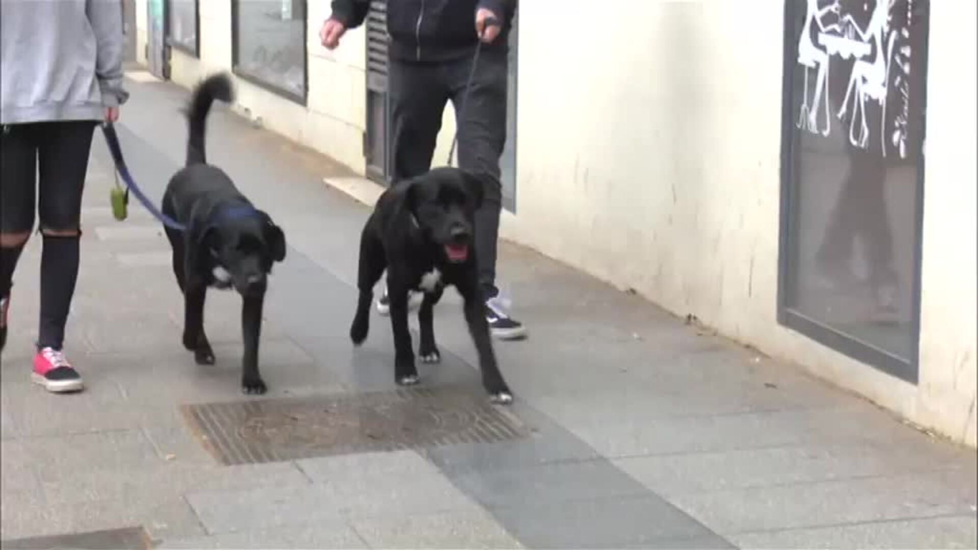 No cumplir con el confinamiento podría implicar una sanción de hasta 600.000 euros