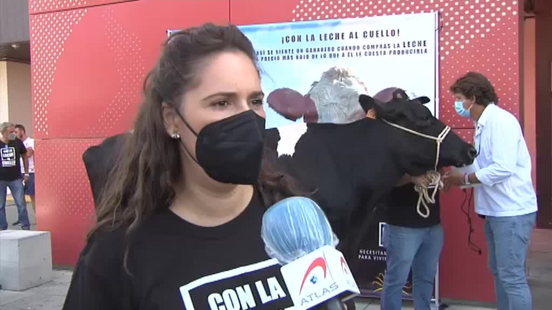 Los ganaderos se plantan por un precio justo de la leche