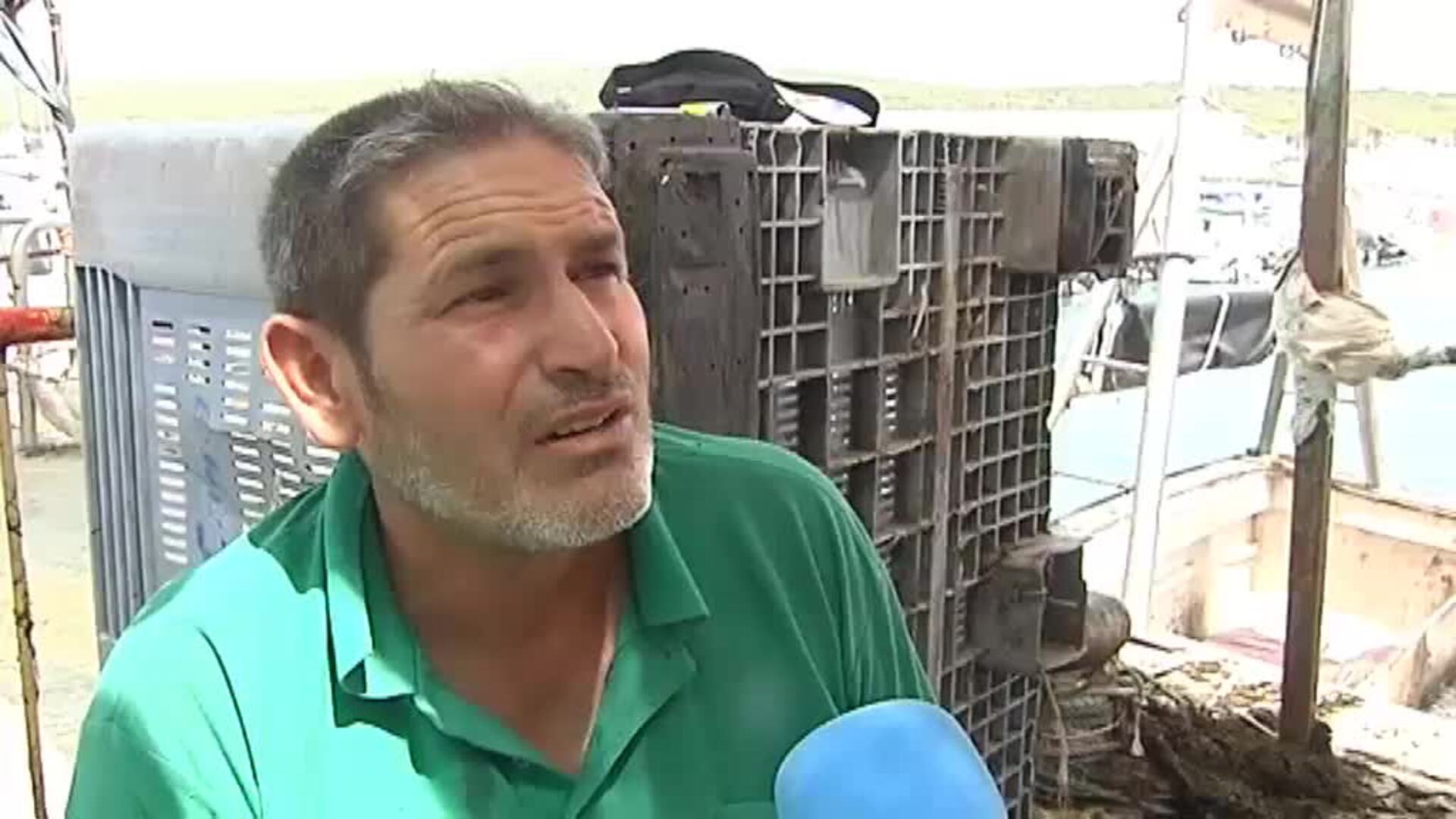 Los pescadores gaditanos están desesperados por un alga invasora