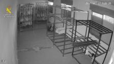 Guardia Civil detiene a varón por el robo en un almacén de jamones ibéricos en Polán (Toledo)
