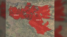 El satélite Copernicus sitúa a Losacio como el incendio más extenso de la historia