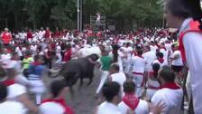 Los toros de Miura ponen el broche a los encierros de San Fermín