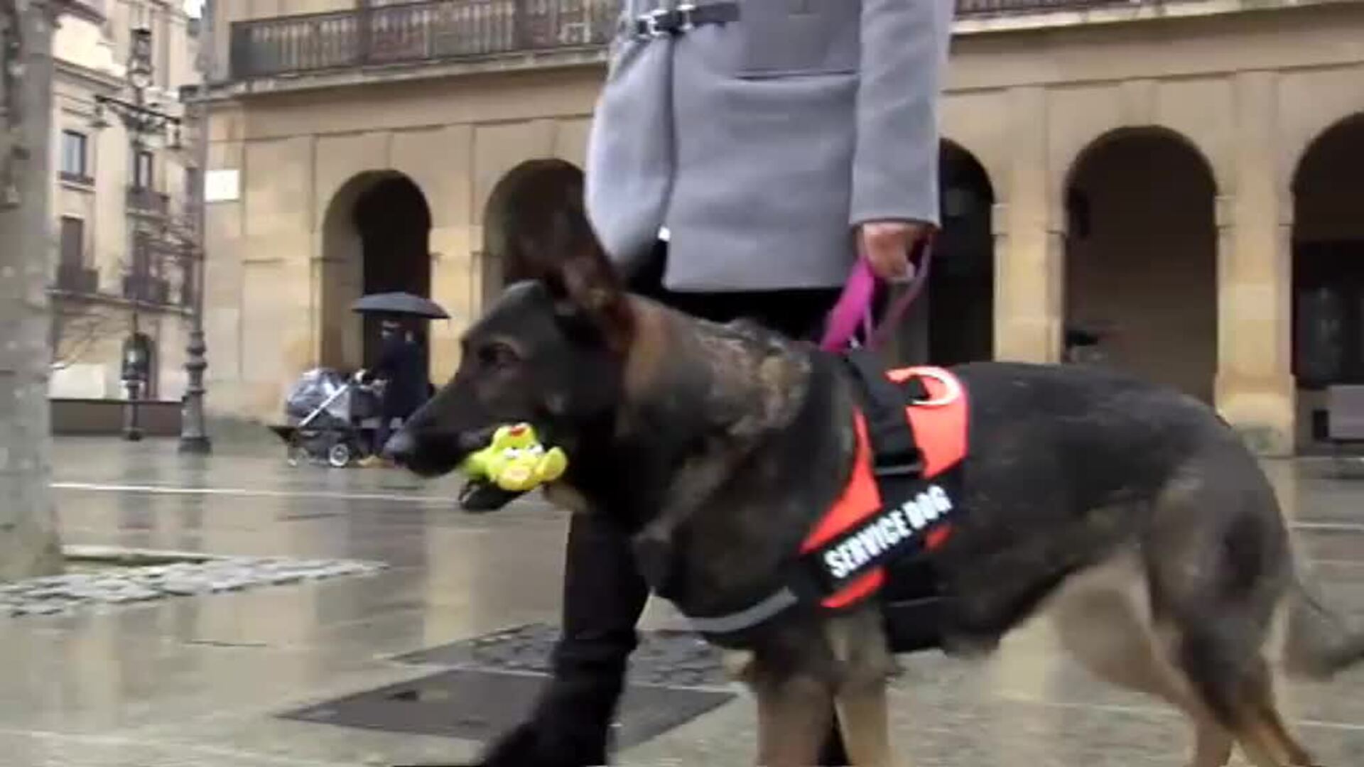 Silvia teme por su vida ante la excarcelación de su agresor: &quot;¿Cómo me matará? ¿Sufriré?&quot;