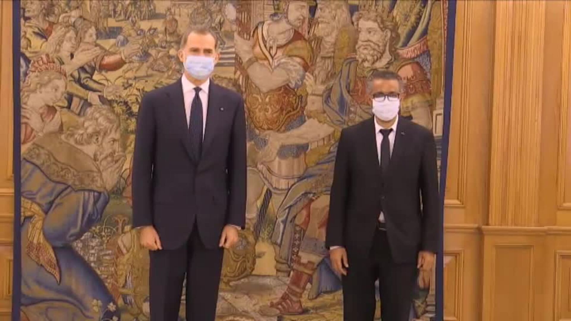 Audiencia del Rey al director general de la OMS