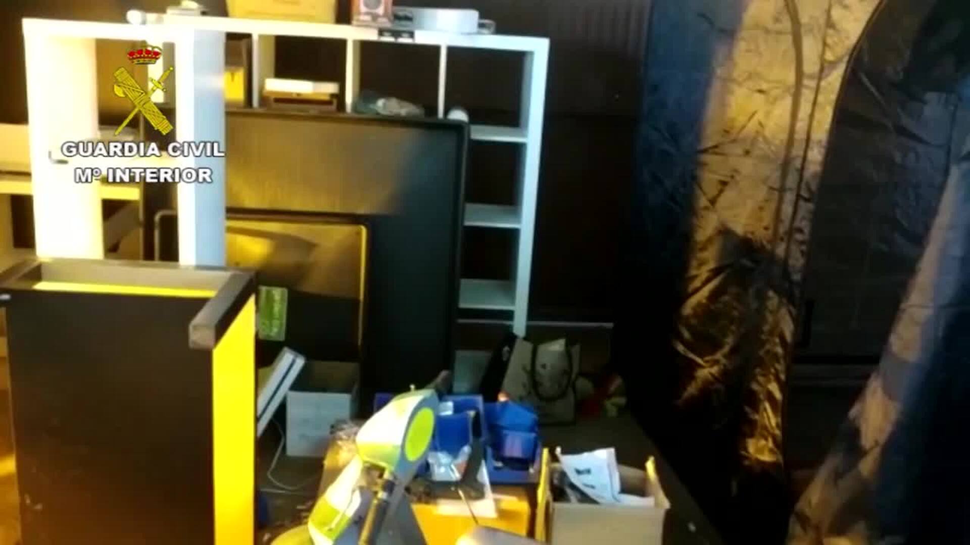 Detenido un vecino de Totana que ocultaba plantación de marihuana