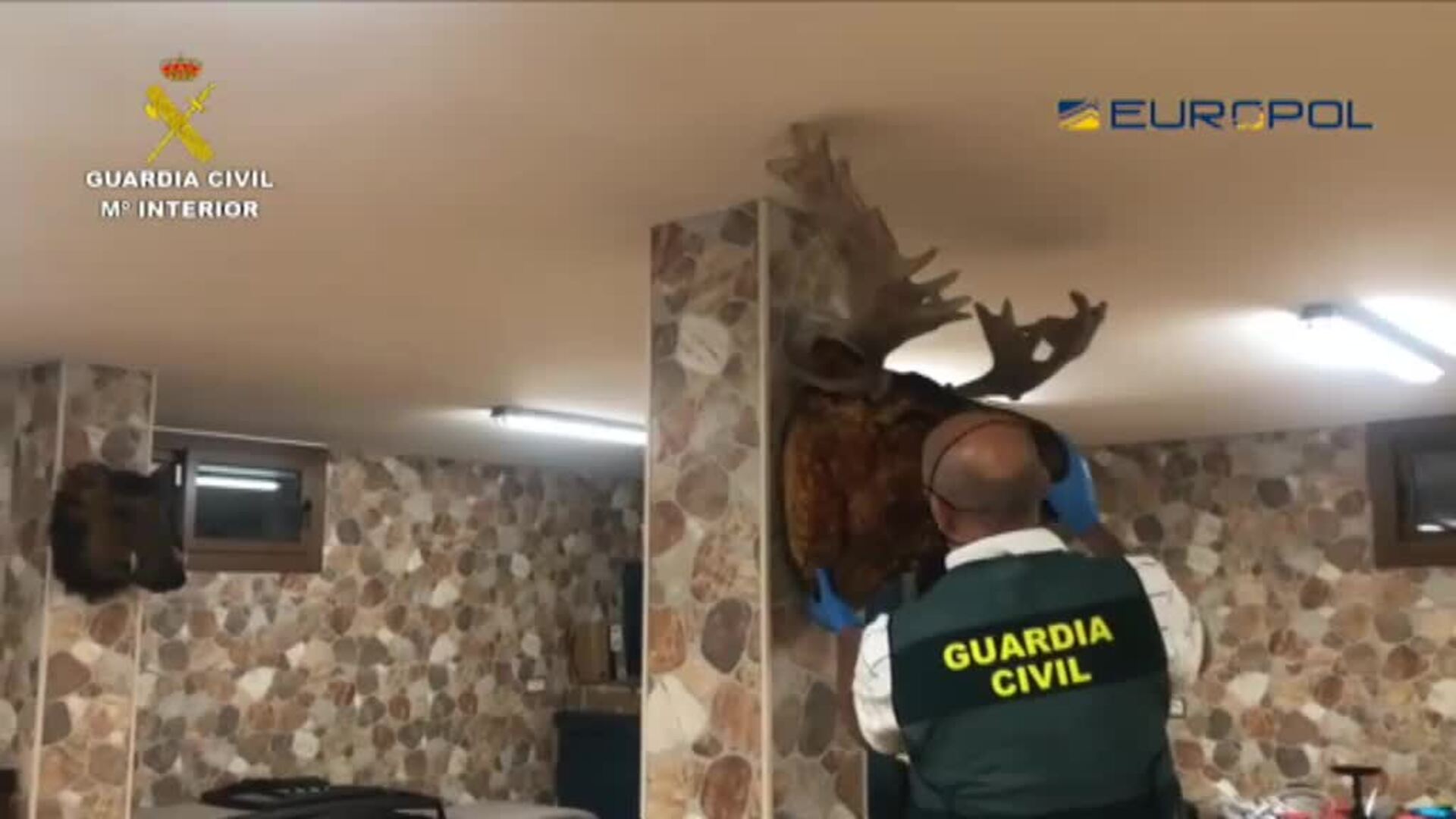 La Guardia Civil detiene en la Operación Tortilla a 64 personas por narcotráfico y blanqueo en el Campo de Gibraltar