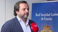 El seguro de responsabilidad civil para perros de caza «será obligatorio en toda España»
