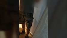 Okupan su piso en Triana mientras trabajaba y se queda en la calle con su hija