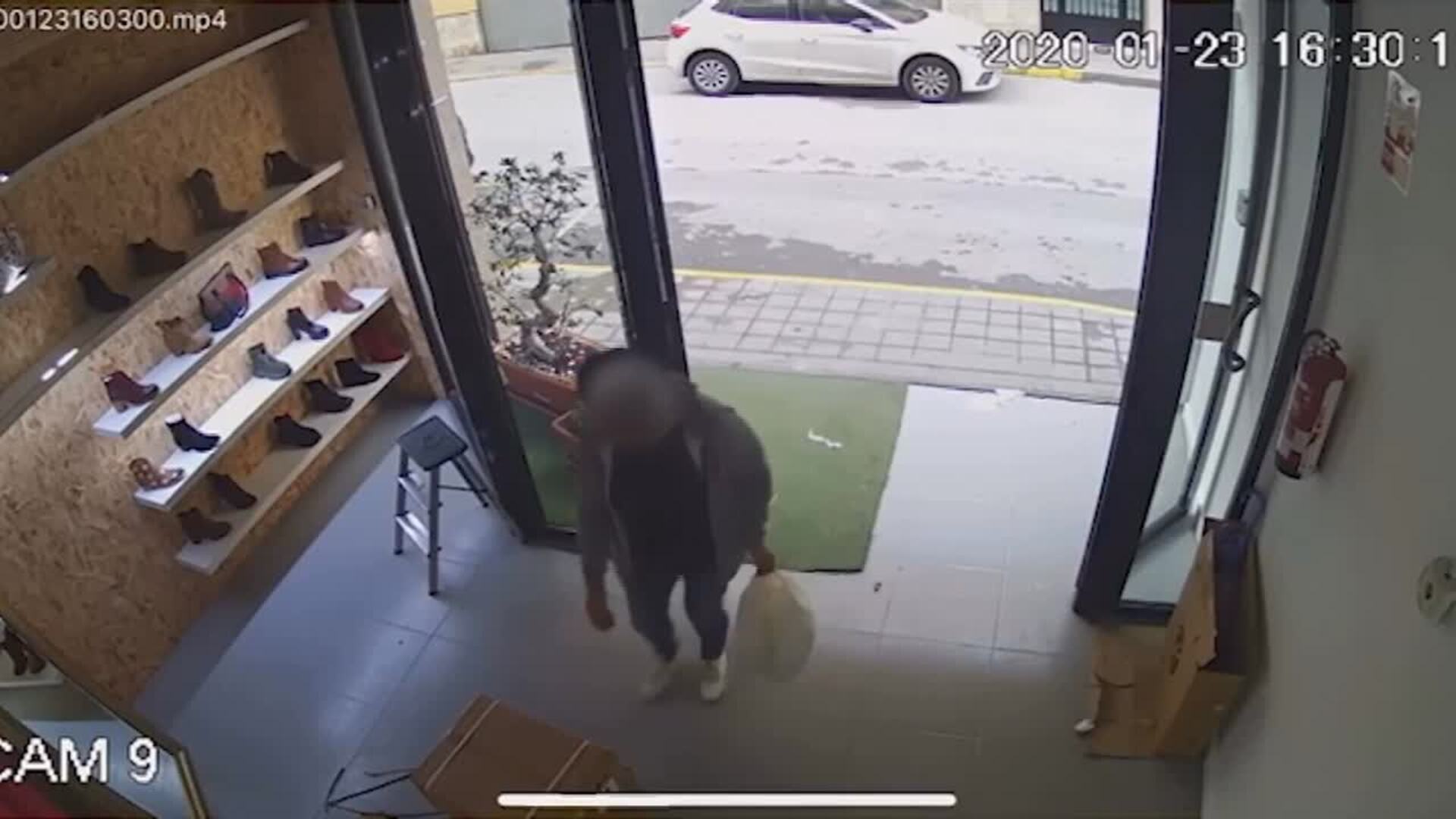 Libertad para la detenida por llevarse un cargamento de &#039;Satisfayer&#039;