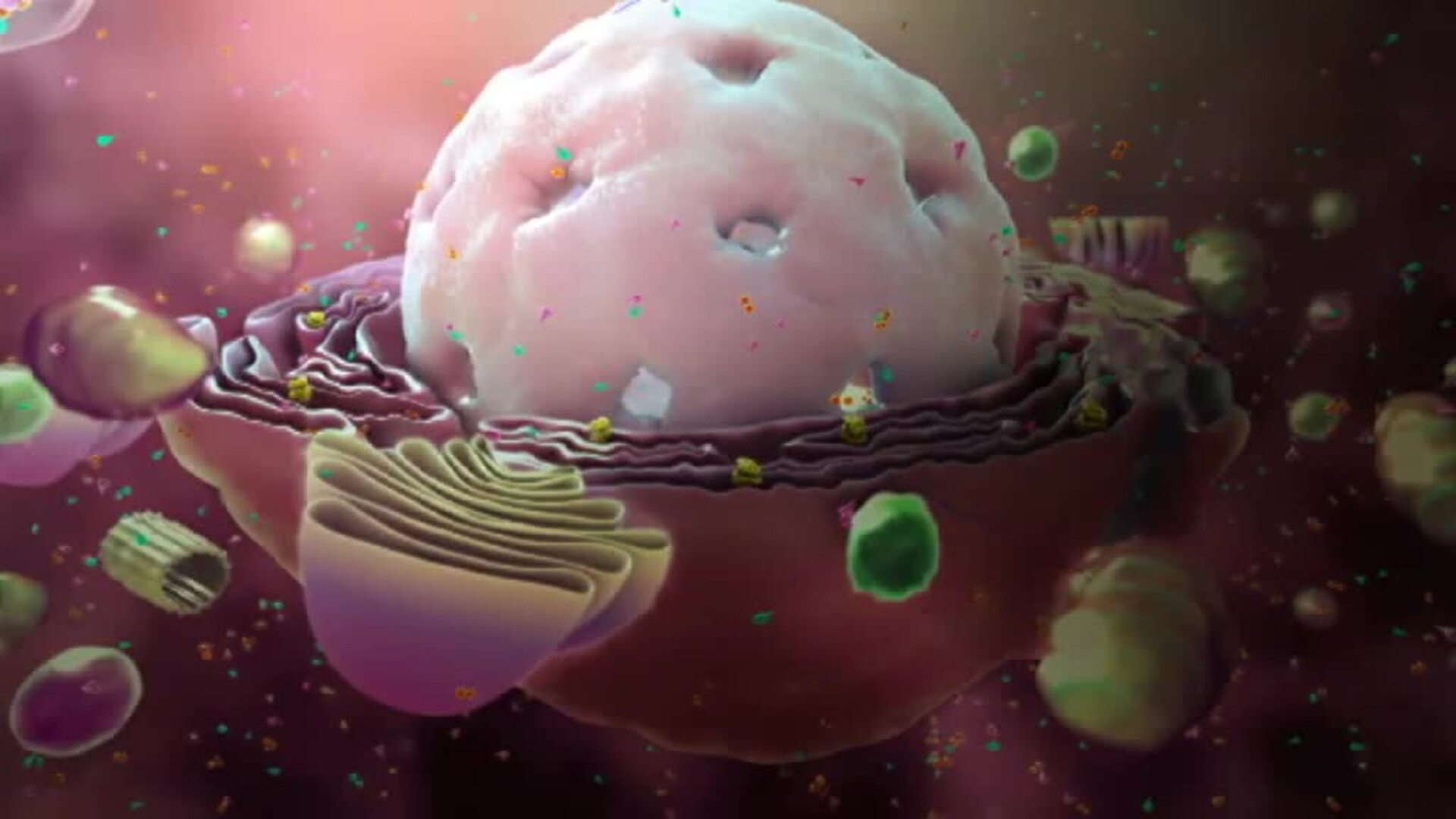 Expertos apuntan a que el coronavirus se quede entre nosotros de manera mucho más leve