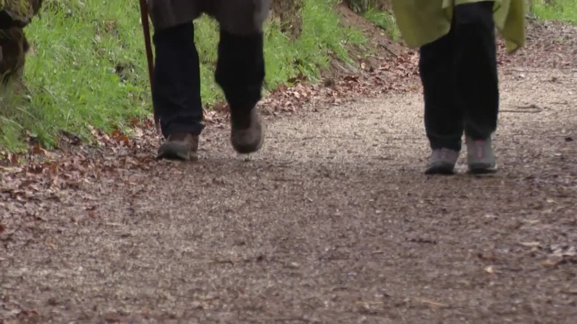 Contacto con la naturaleza, deporte y valores: hacer el Camino de Santiago con niños suma adeptos