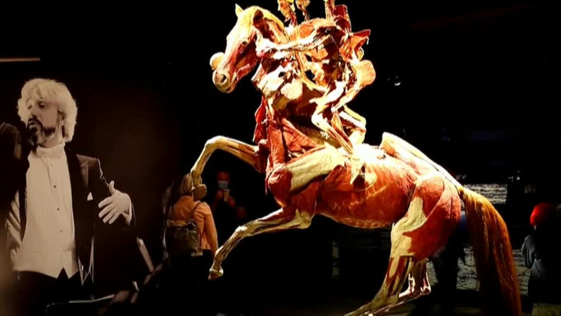 La exposición &quot;Cuerpos del mundo&quot; te invita a donar tus restos al arte