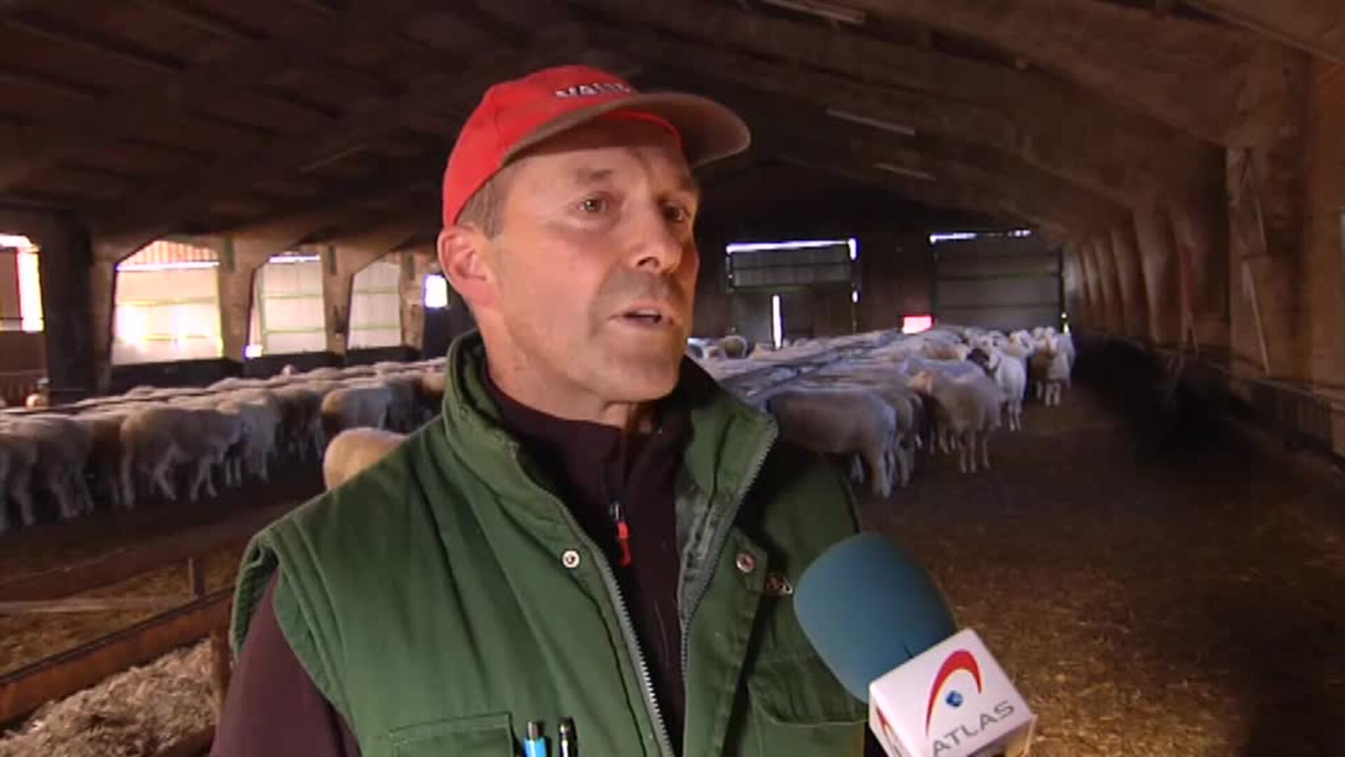 Hoy por primera vez se celebra el Día Mundial del Orgullo Rural