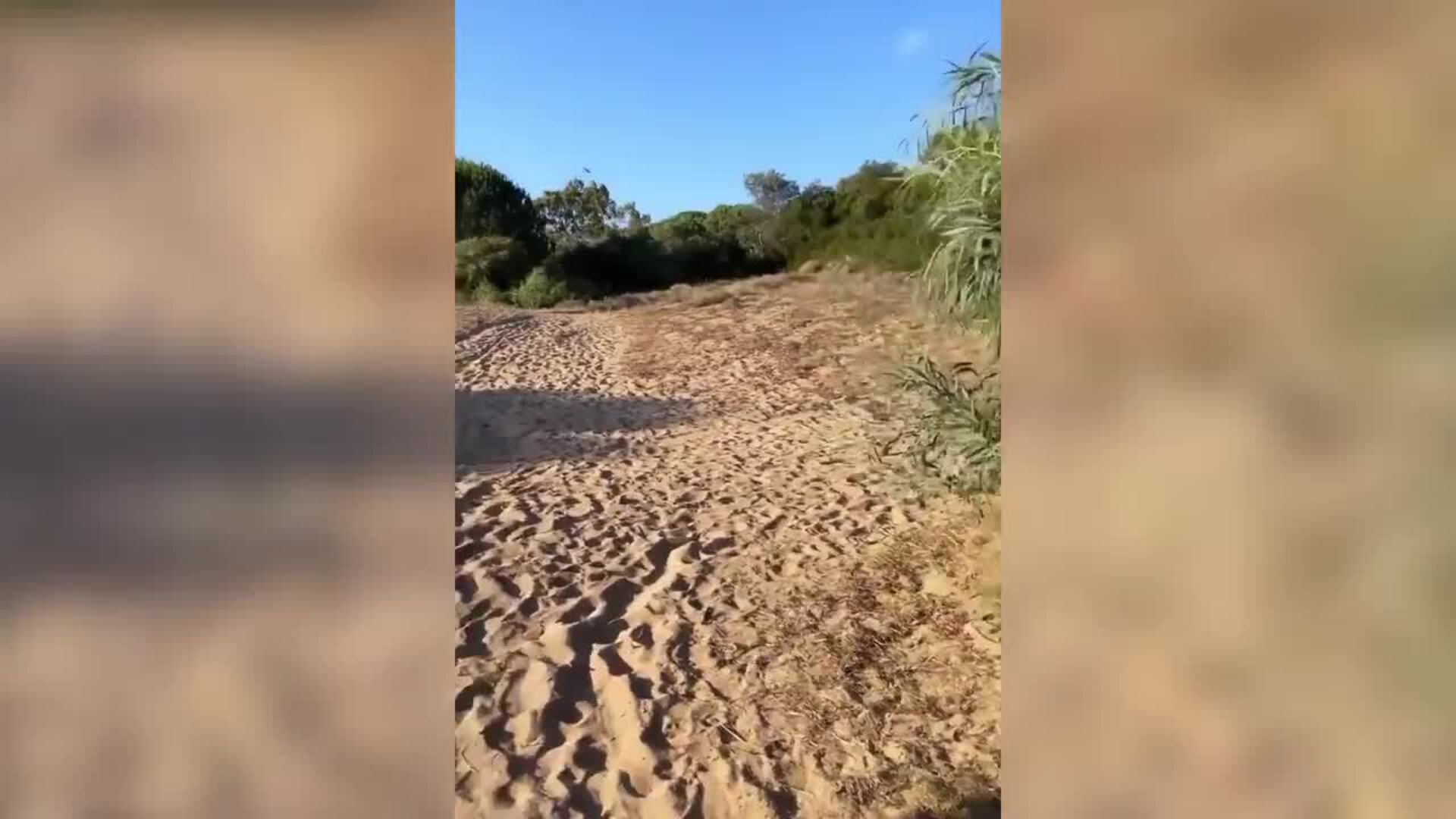 Alice Campello y Morata disfrutan de unas vacaciones en familia