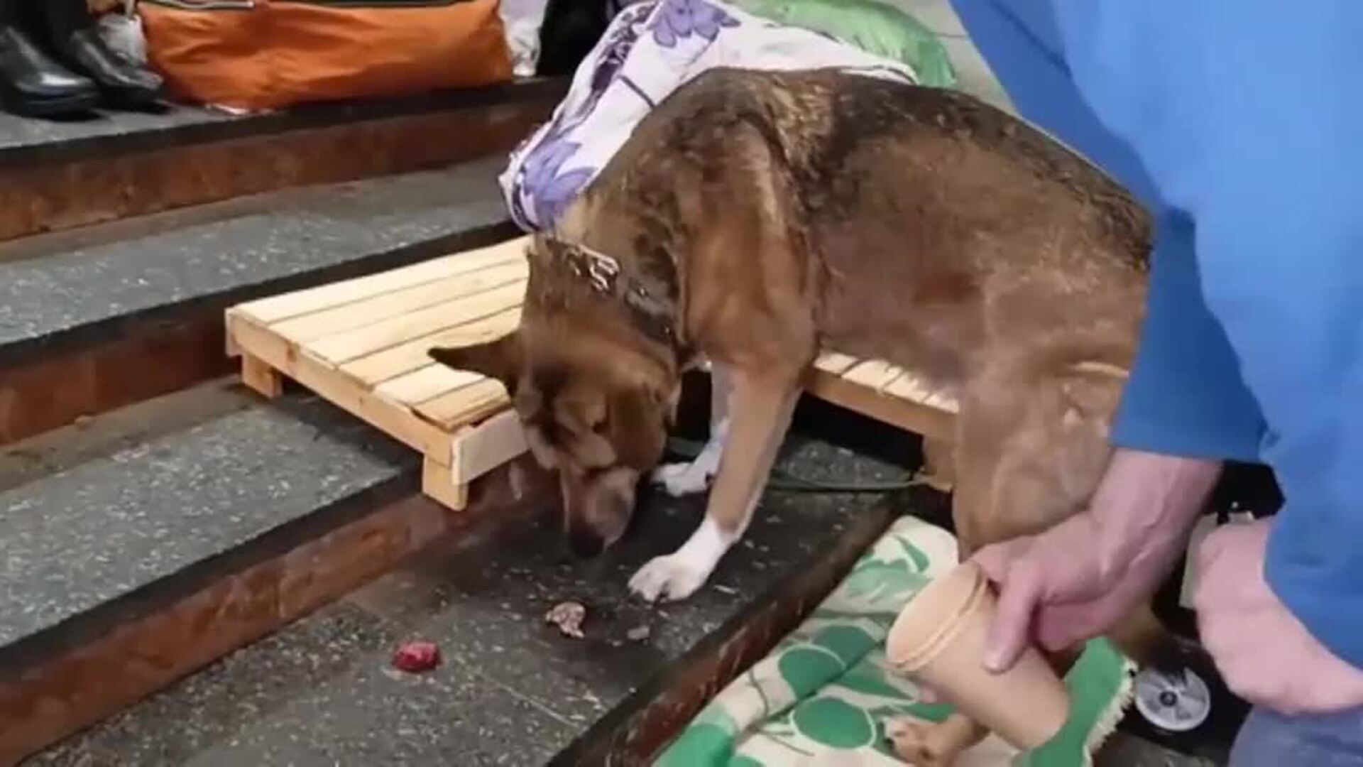 Járkov sigue asediada por continuos bombardeos