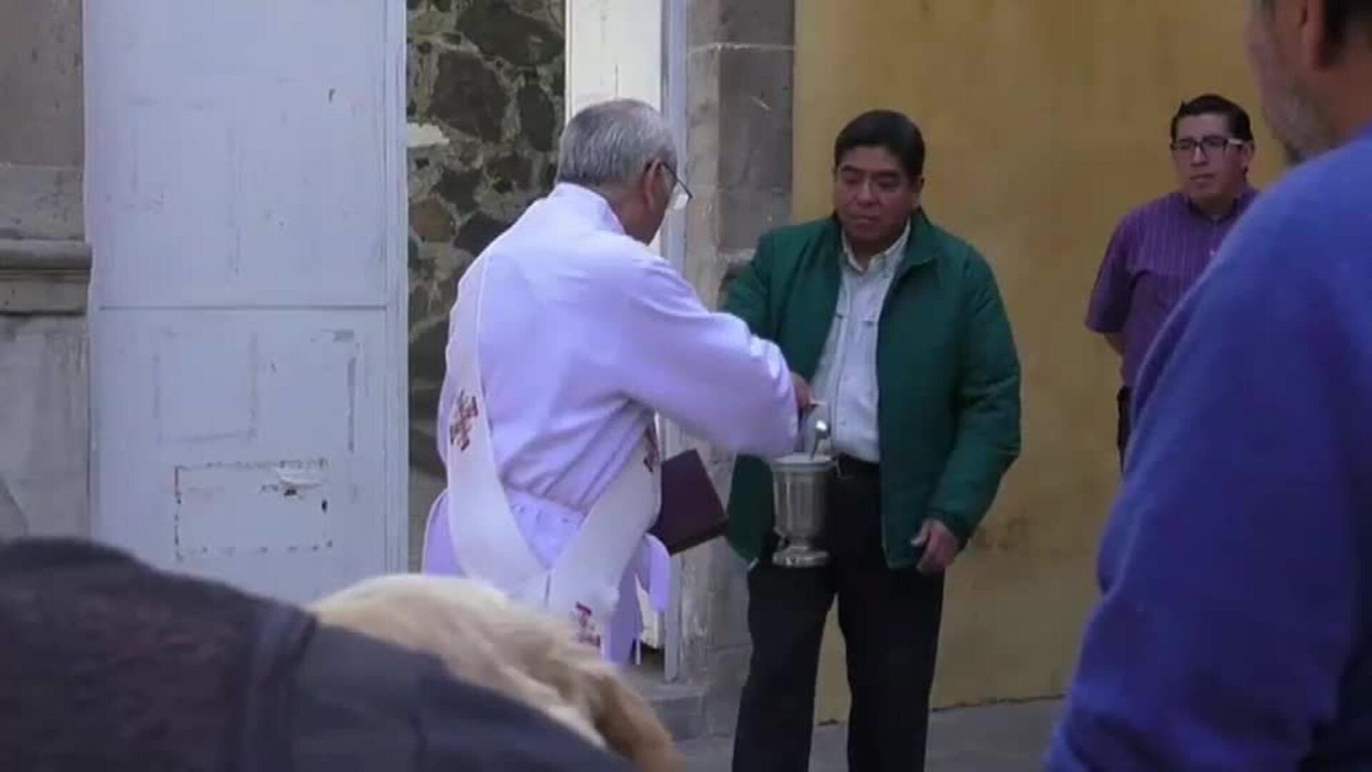Mascotas en México reciben la bendición católica el día de San Antón
