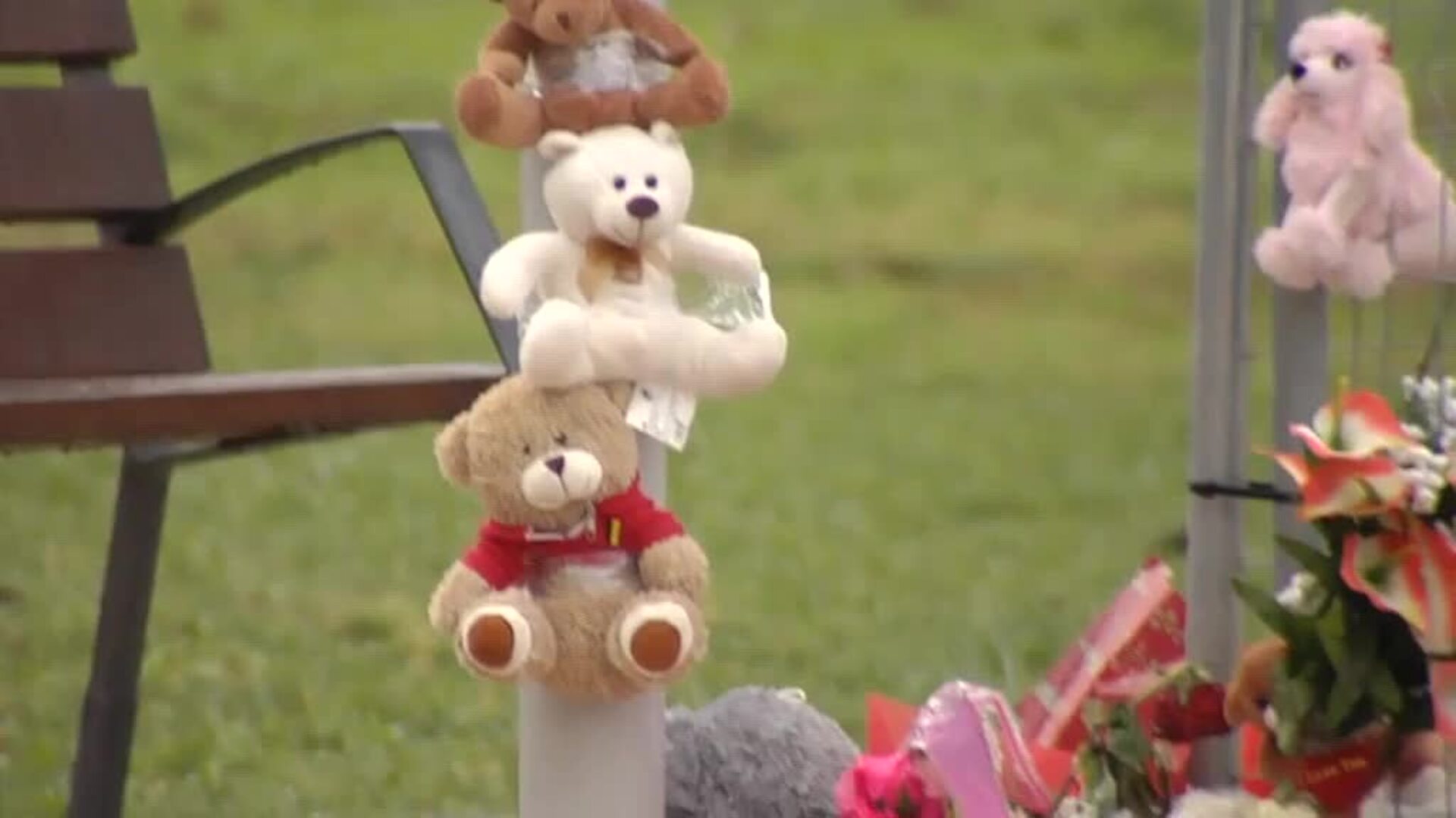 Generosidad contra el dolor