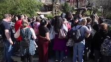 Los gemelos panda Leni y Lotti salen al recinto exterior del zoológico de Berlín por primera vez