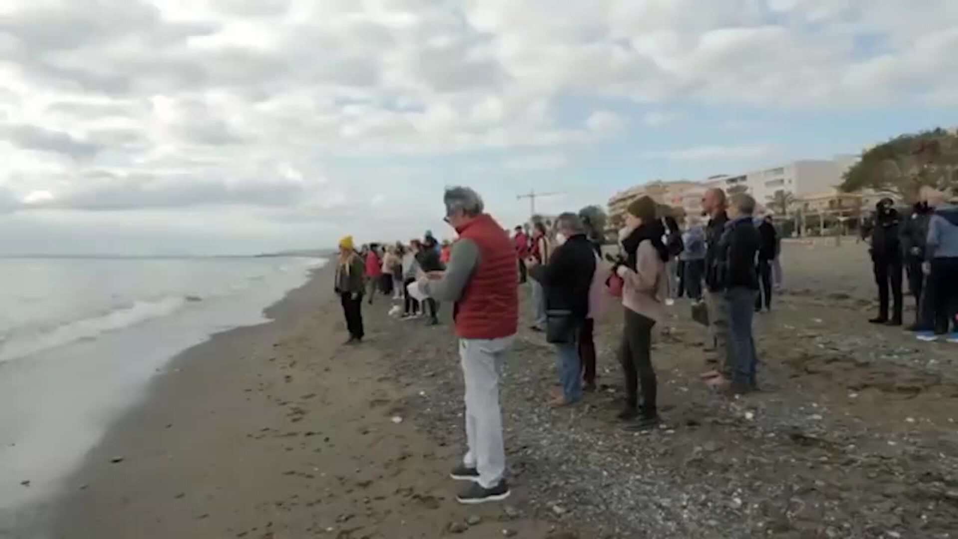 Aparece varada una ballena de nueve metros en la playa de La Rada de Estepona
