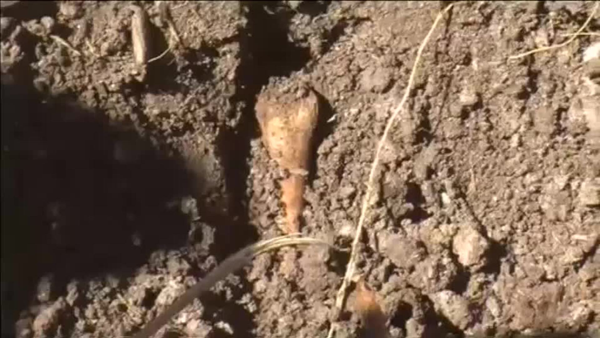 México exige justicia al cumplirse 6 años de la desaparición de 43 estudiantes en Ayotzinapa