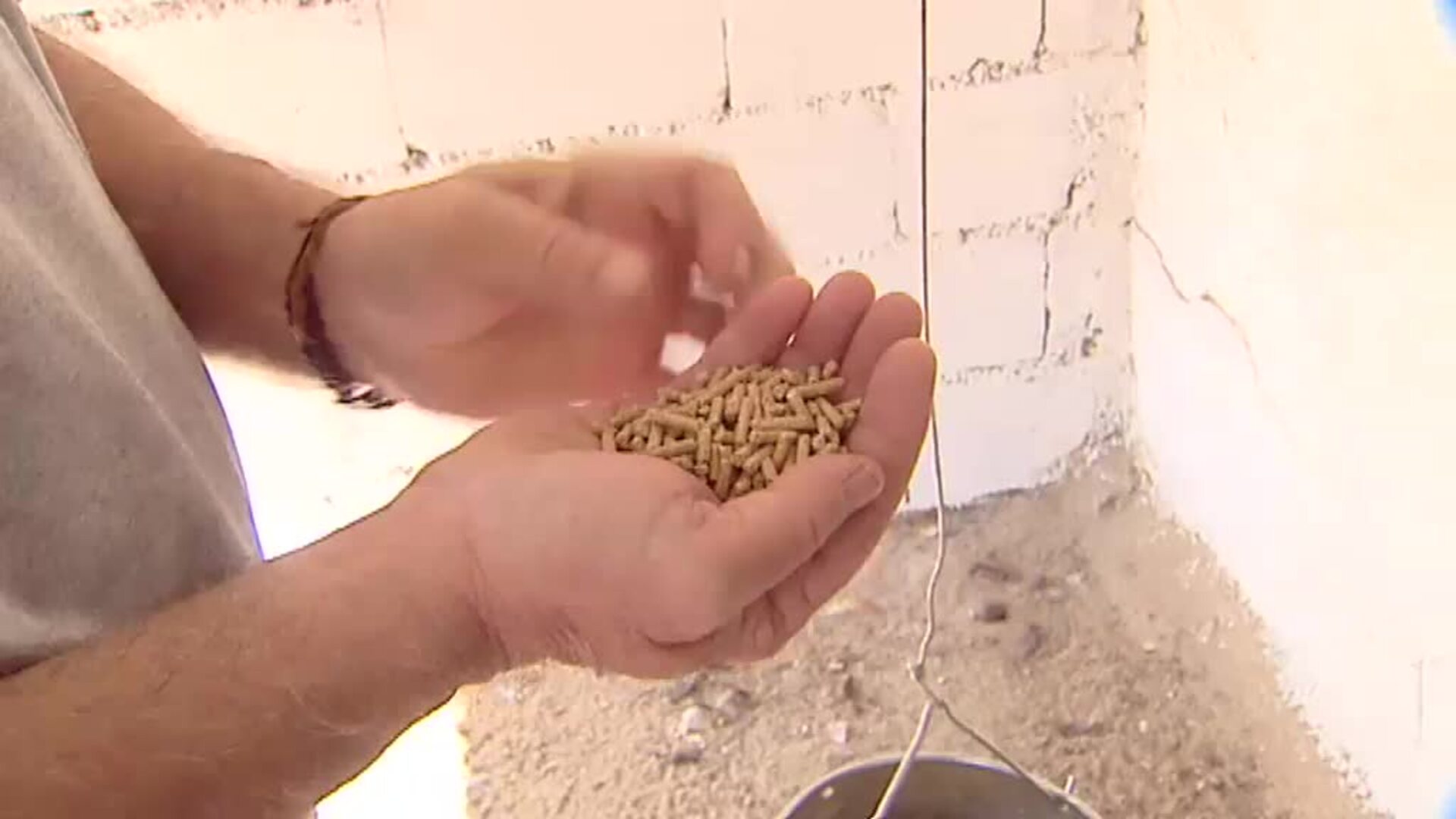 Un escultor se reinventa con una explotación de gallinas autóctonas