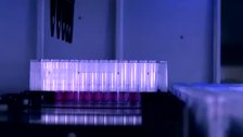 Coronavirus España directo: Sanidad reporta 70 muertos en las últimas 24 horas y solo 3 ingresos en UCI