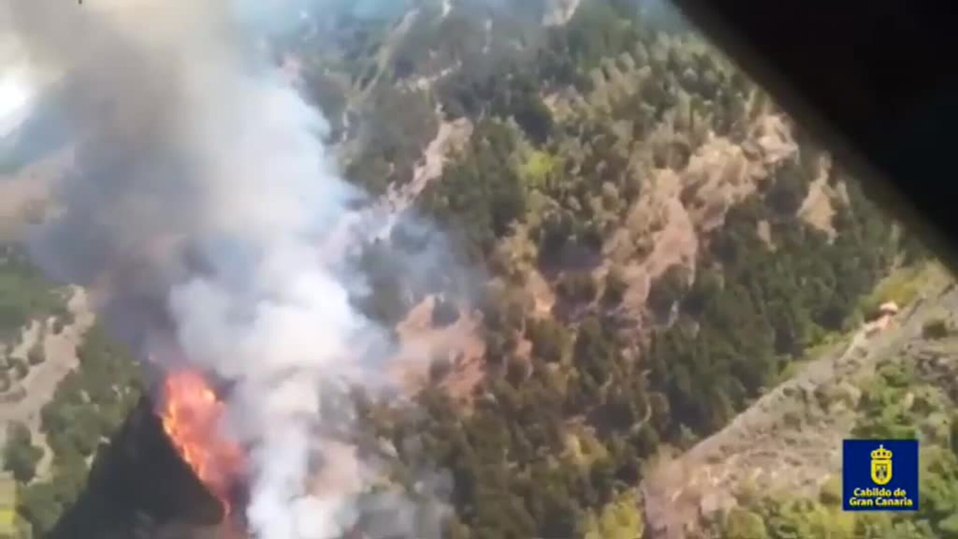 La isla de Gran Canaria vuelve a luchar contra el fuego