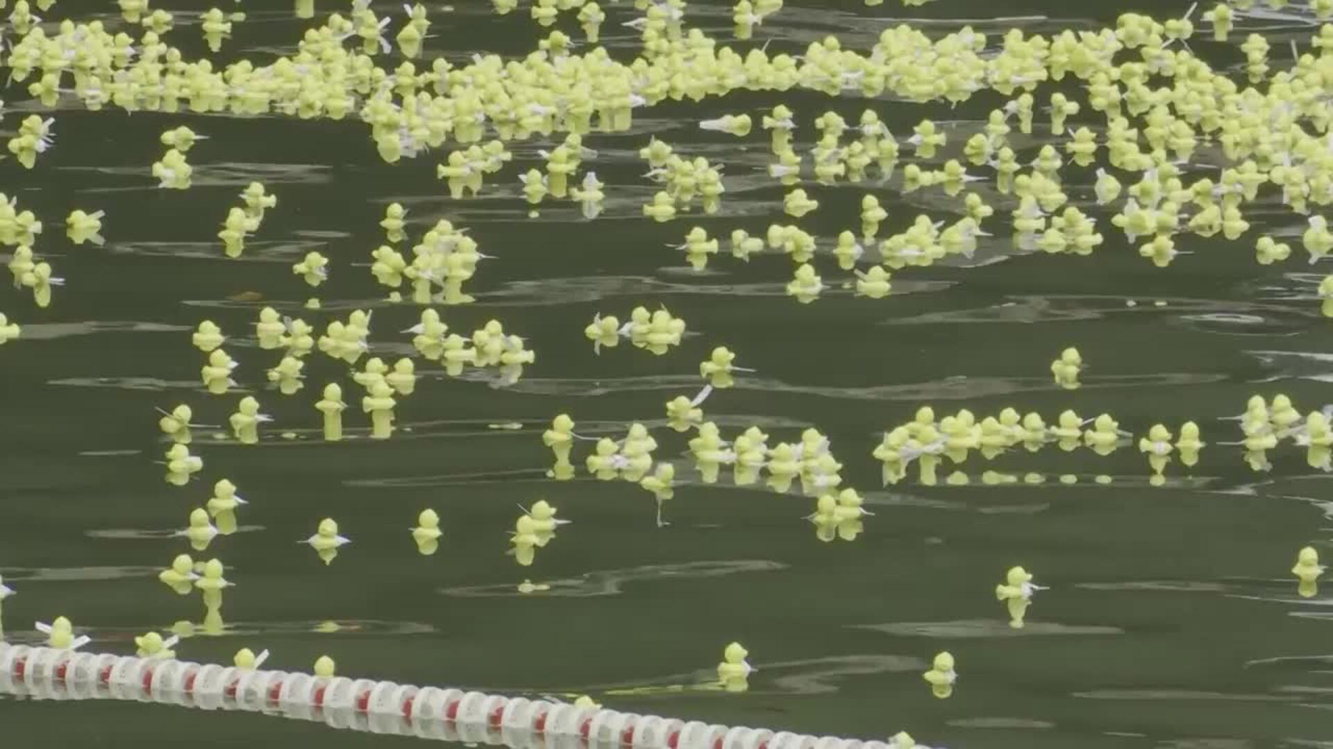 Unos 13.000 &#039;biopatos&#039; surcan la ría de Bilbao en la novena Estropatada