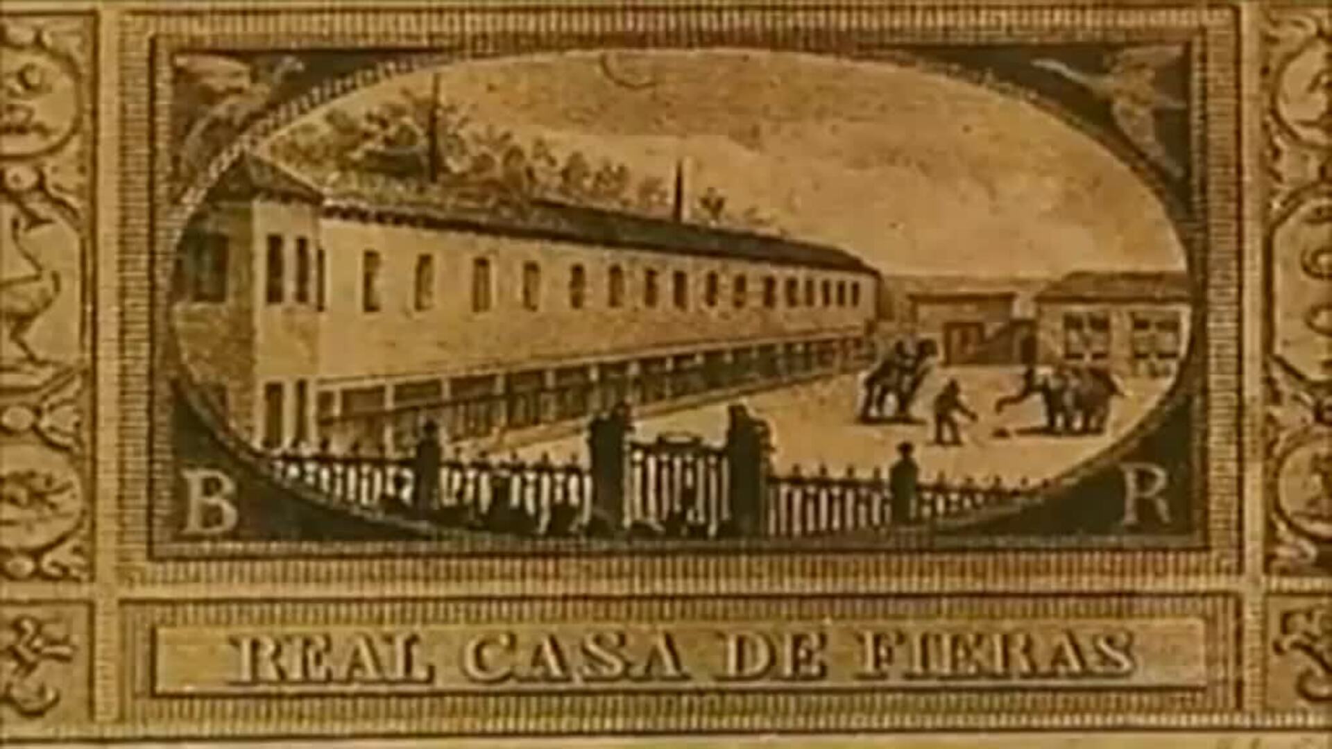 El Zoo Acuario de Madrid presenta a sus nuevos habitantes