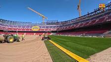 El césped ya asoma en el Spotify Camp Nou