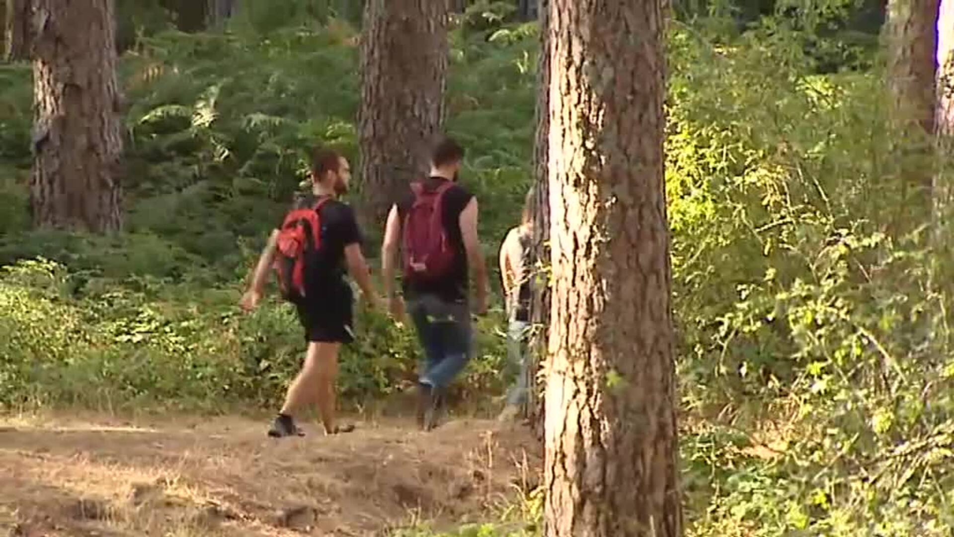 Todos buscan a Blanca