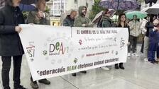 Animalistas aúllan por los lobos ibéricos abatidos en Cantabria