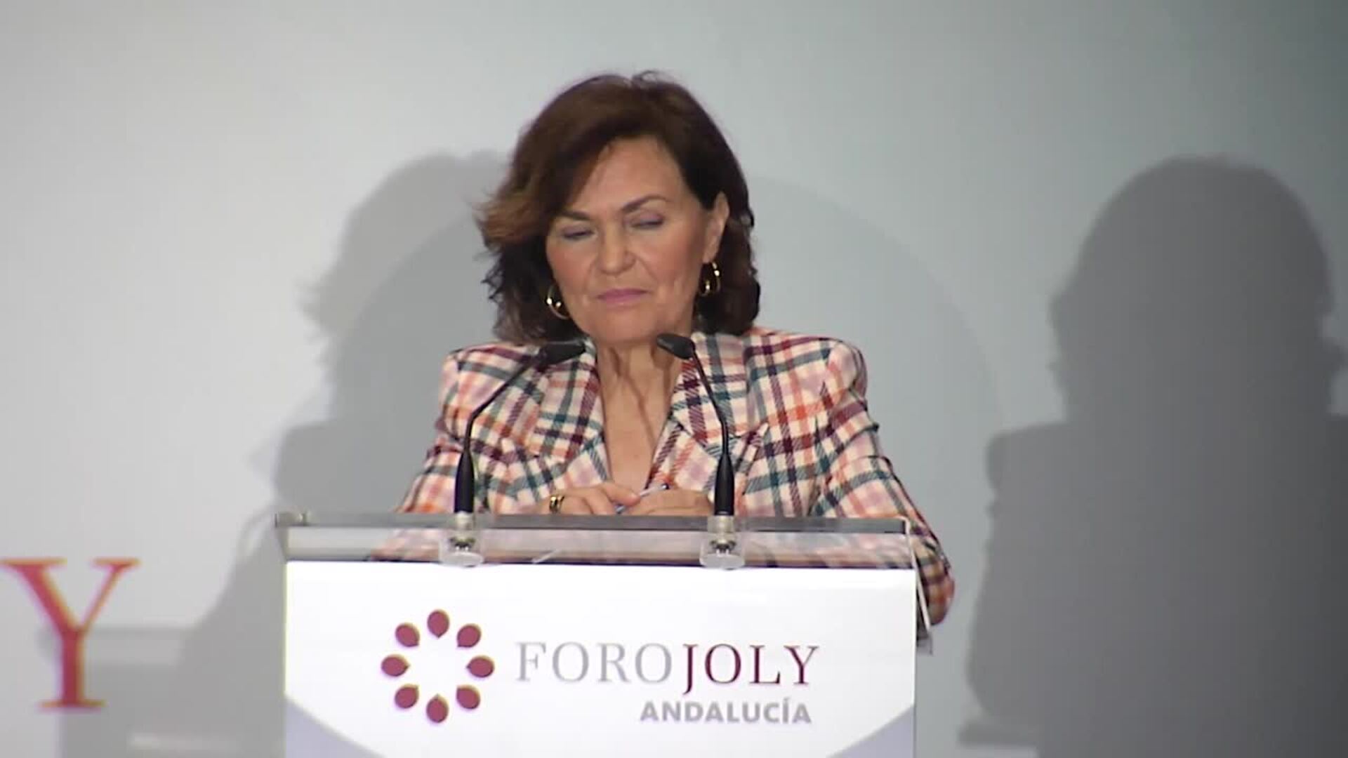 Calvo justifica las diferencias en el Gobierno por ser un partido &quot;de novedad&quot;