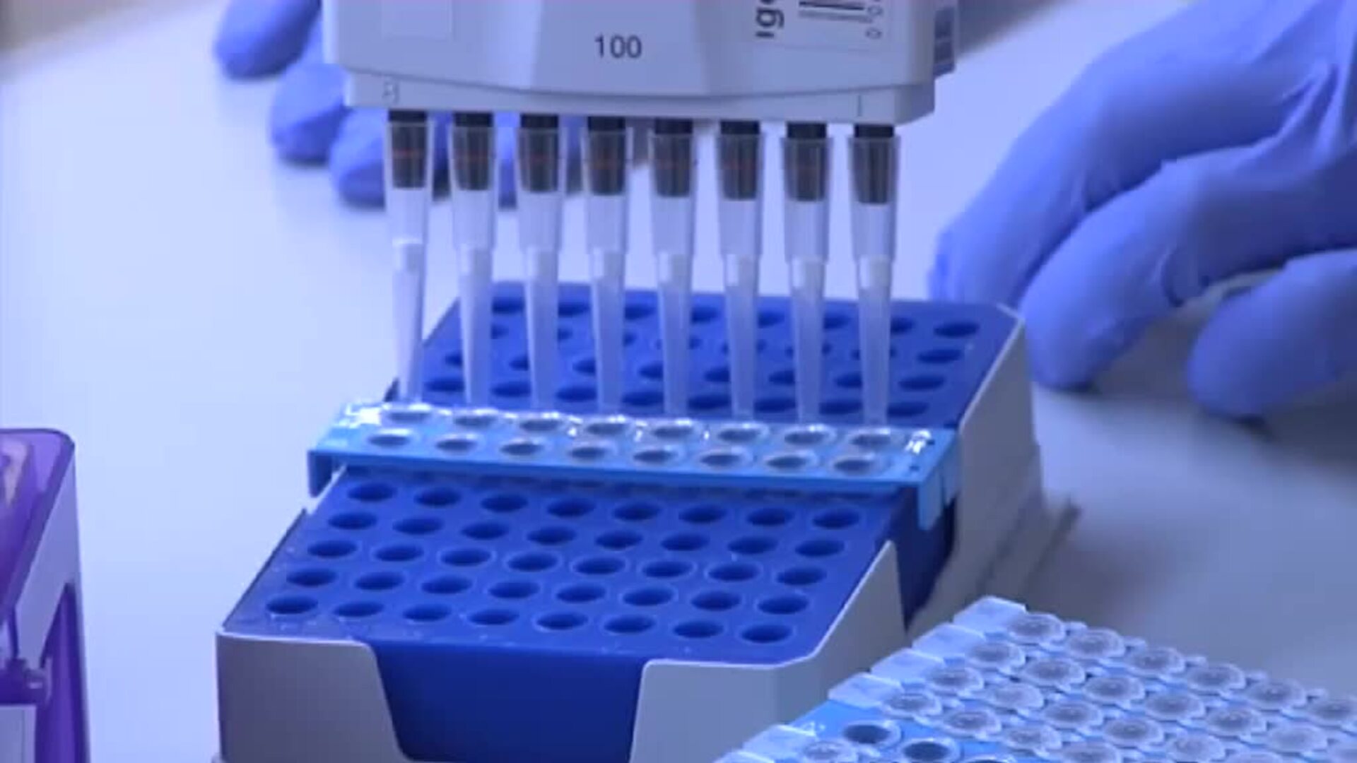 Se dispara la demanda de test antes de Navidad