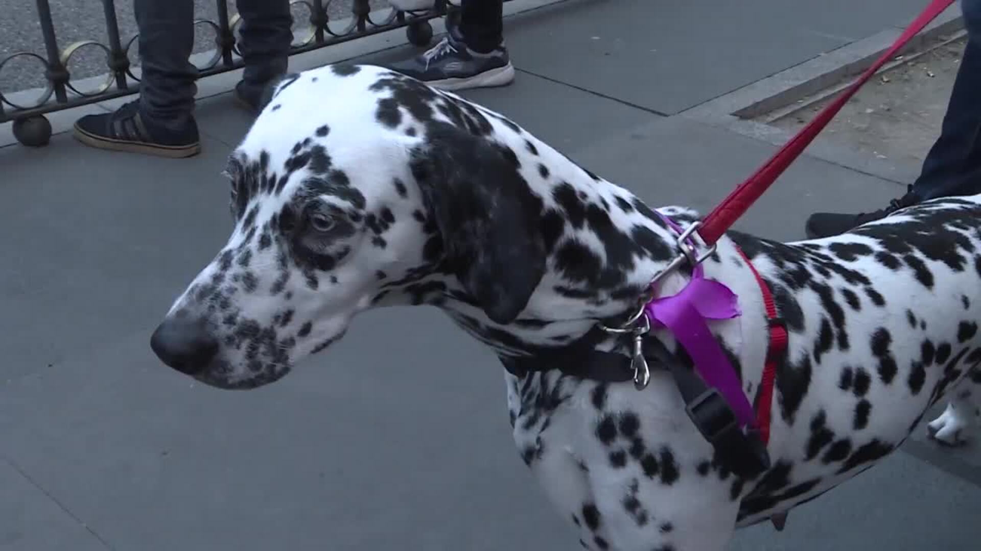 Las feministas salen a la calle de Madrid por la igualdad
