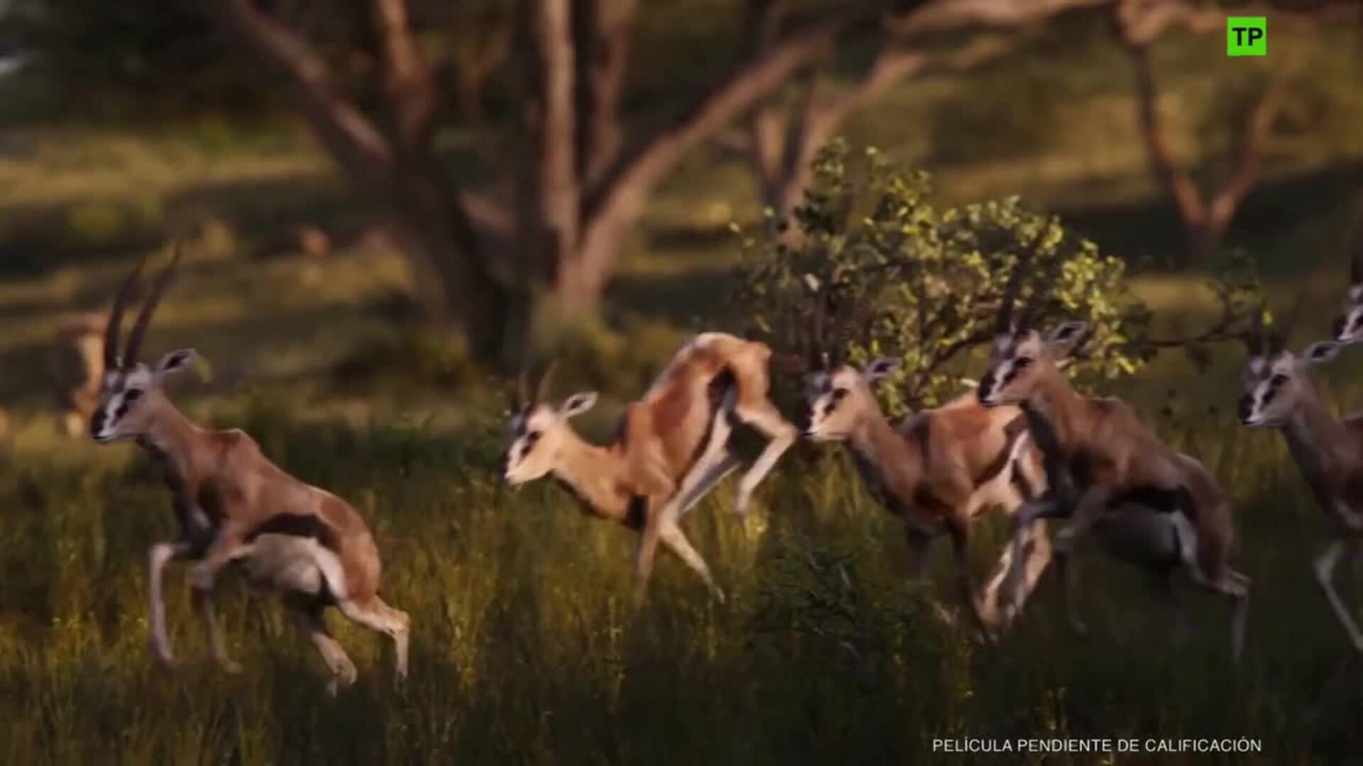 El rey león se convierte en la película más taquillera del año en España