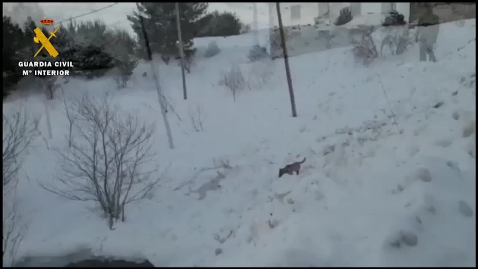 La Guardia Civil encuentra el cuerpo sin vida del joven de Benaguasil